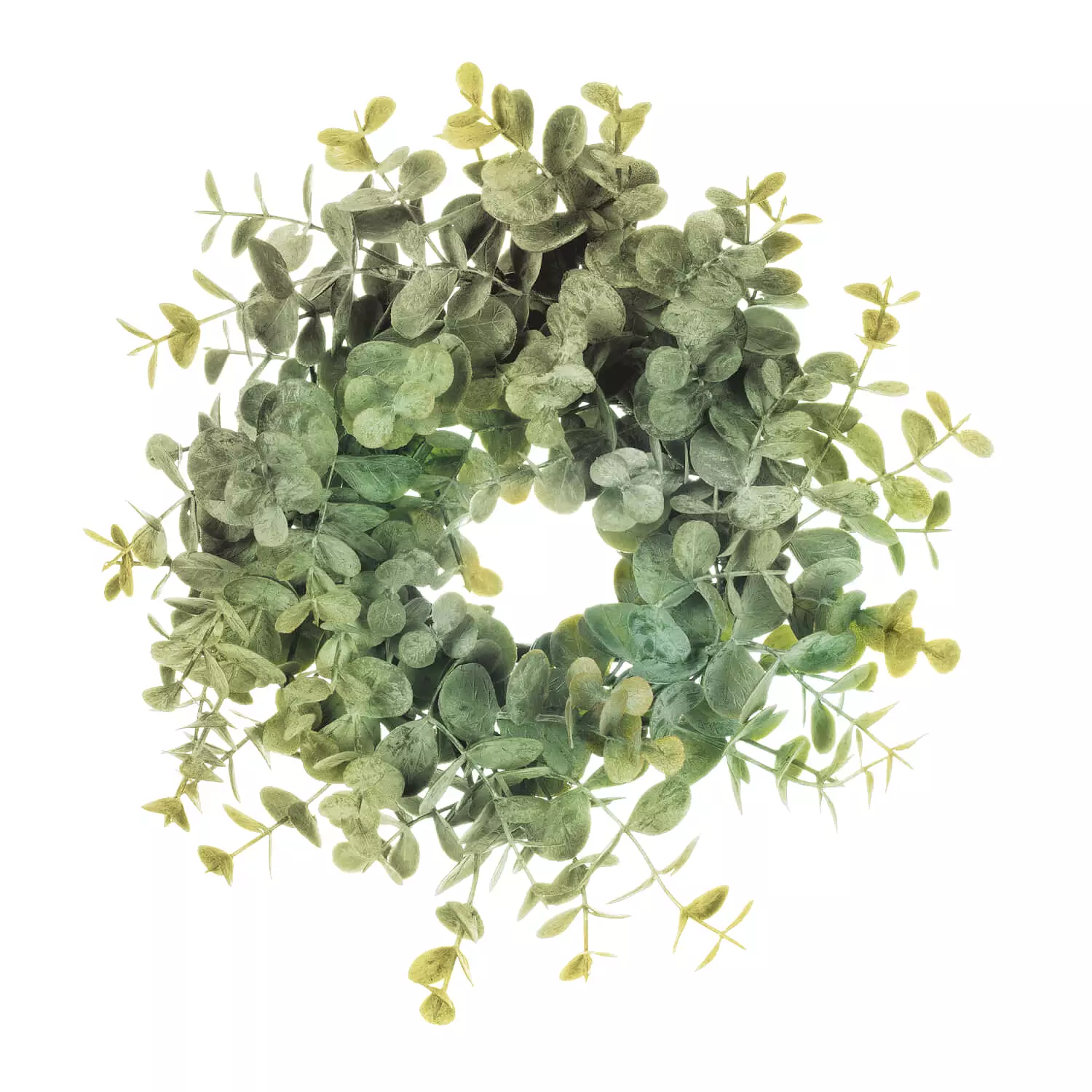 2.5 Eucalyptus Mini Wreath