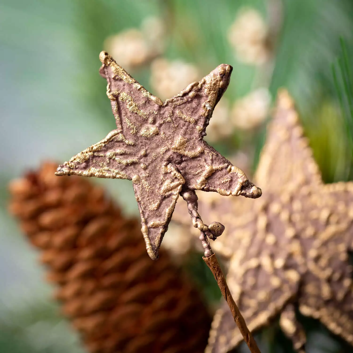 6.5 Goldstar Rustic Pine Ring