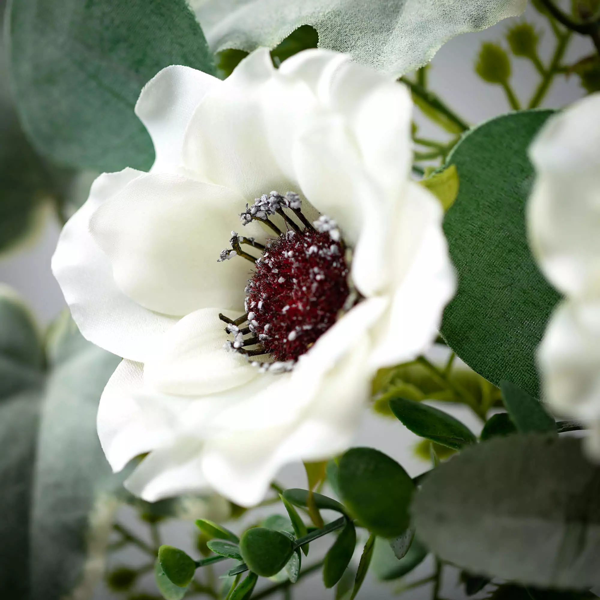 Anemone Silvery Mini Wreath