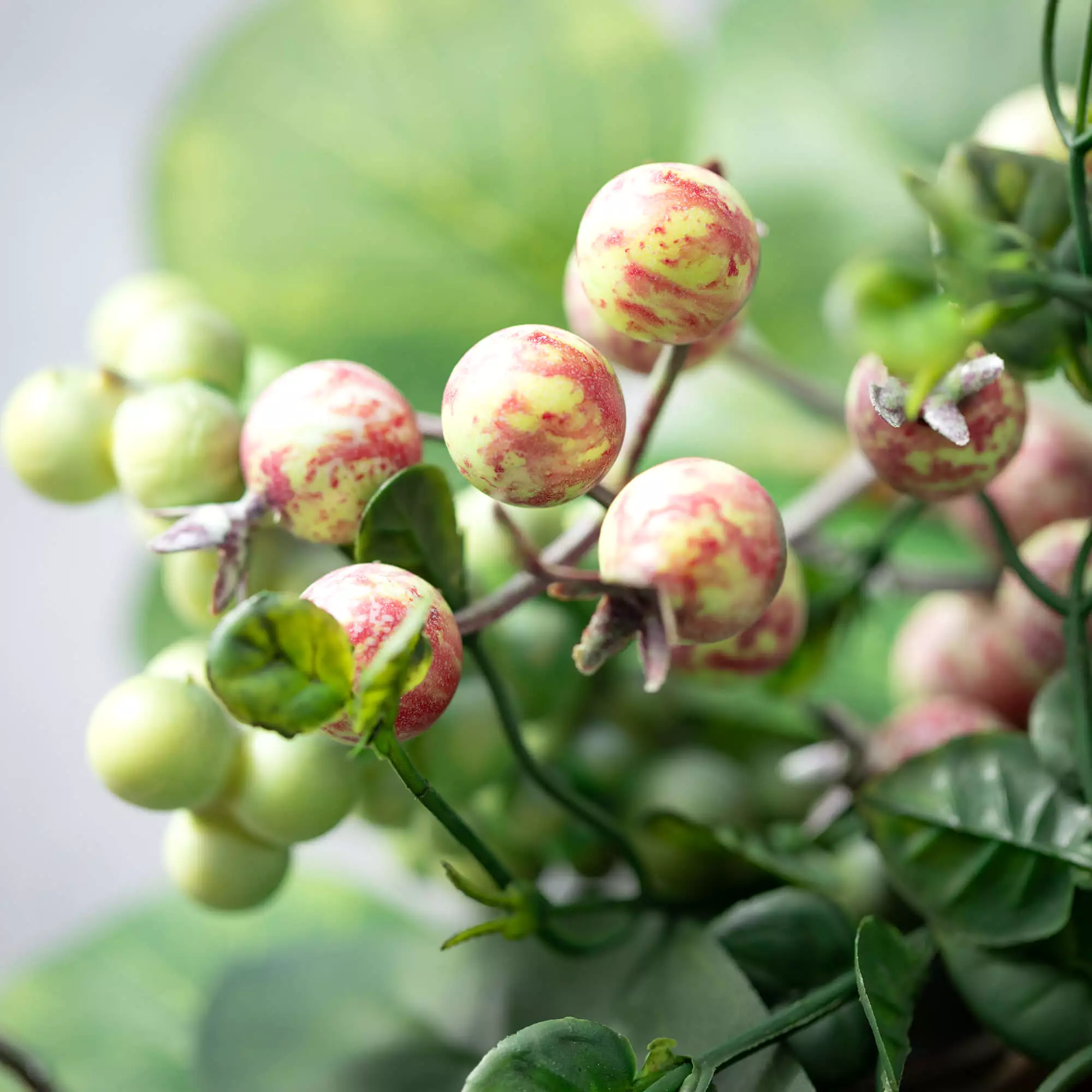 Berry Foliage Mini Wreath