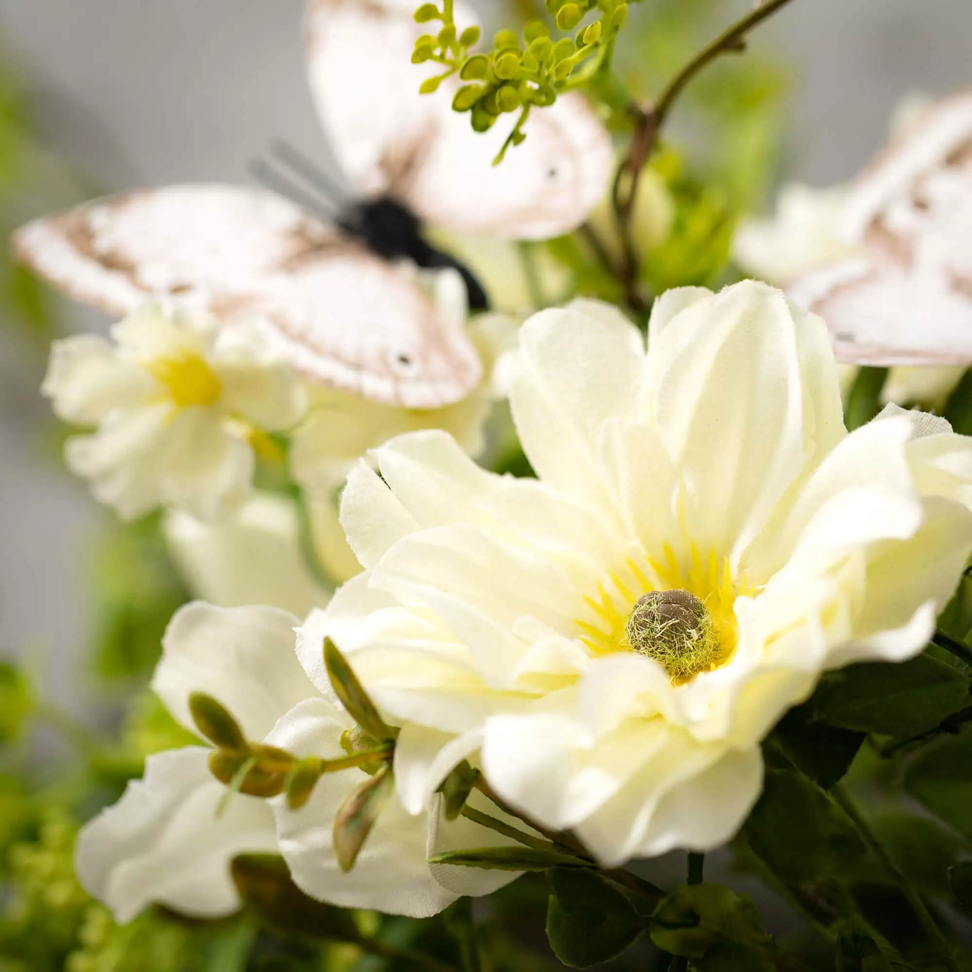 Dahlia Botanical Mini Wreath