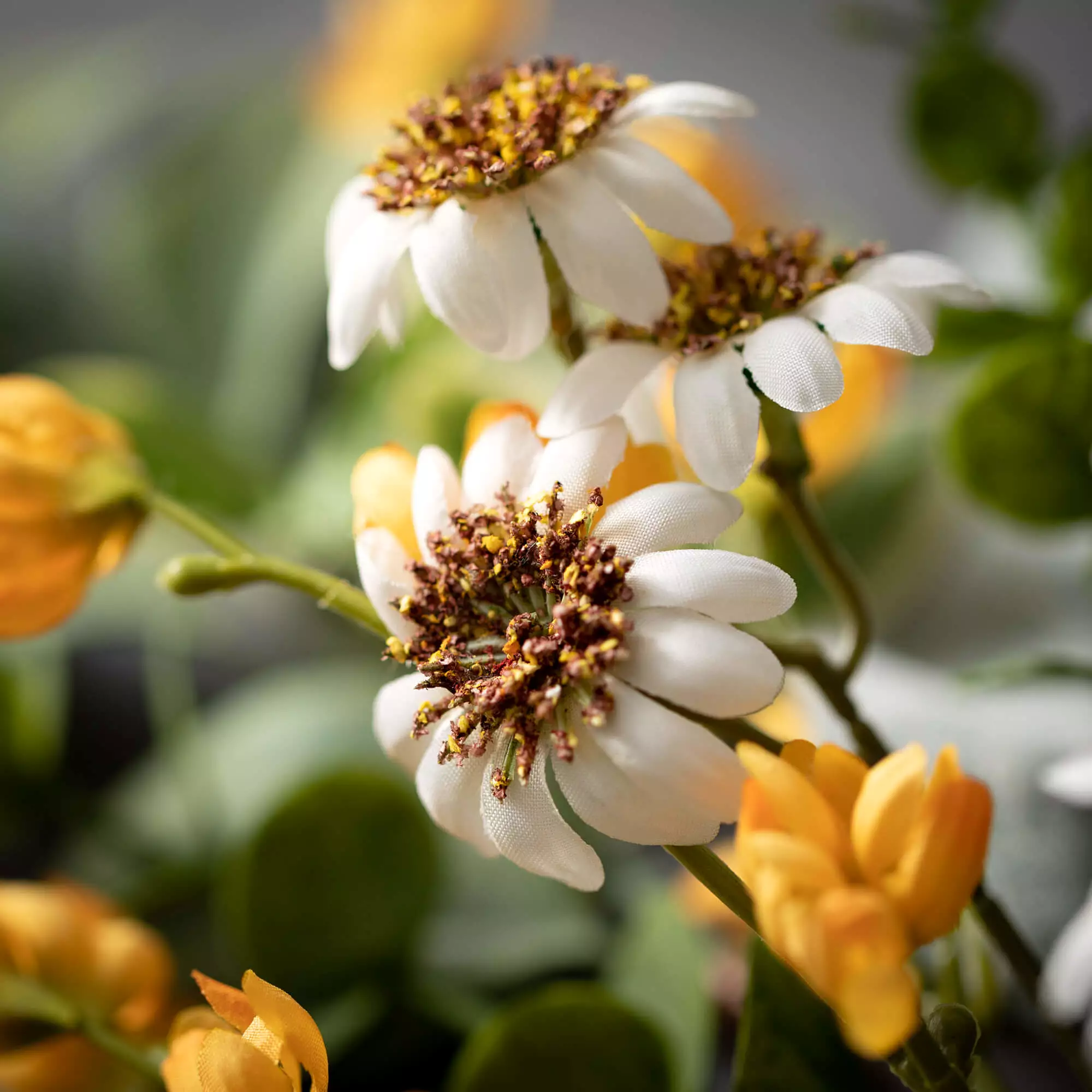 Daisy Marigold Blooms Ring