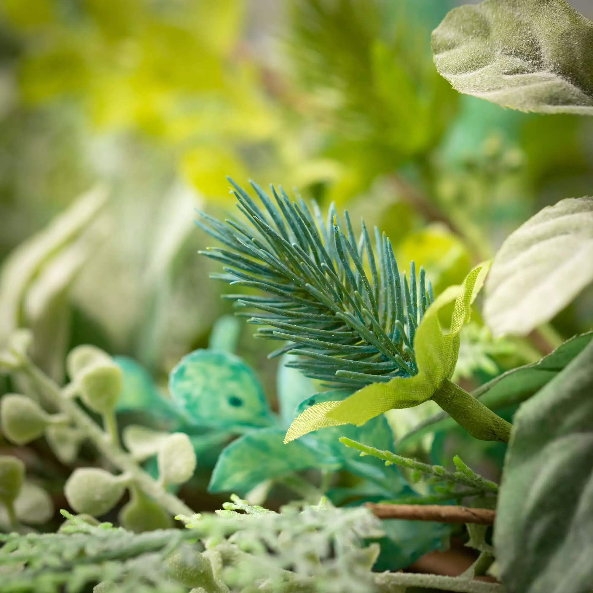 Mixed Botanical Mini Wreath