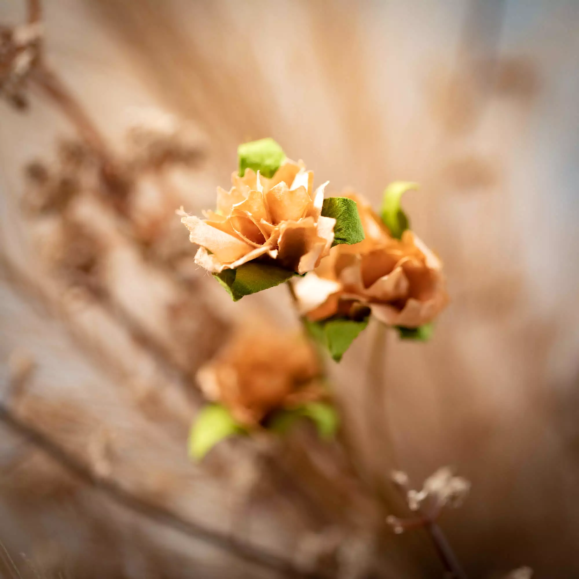 Pampas Grass Mini Wreath