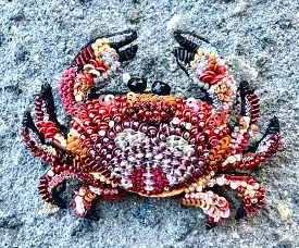 Trovelore Brooch Orange Stone Crab Brooch