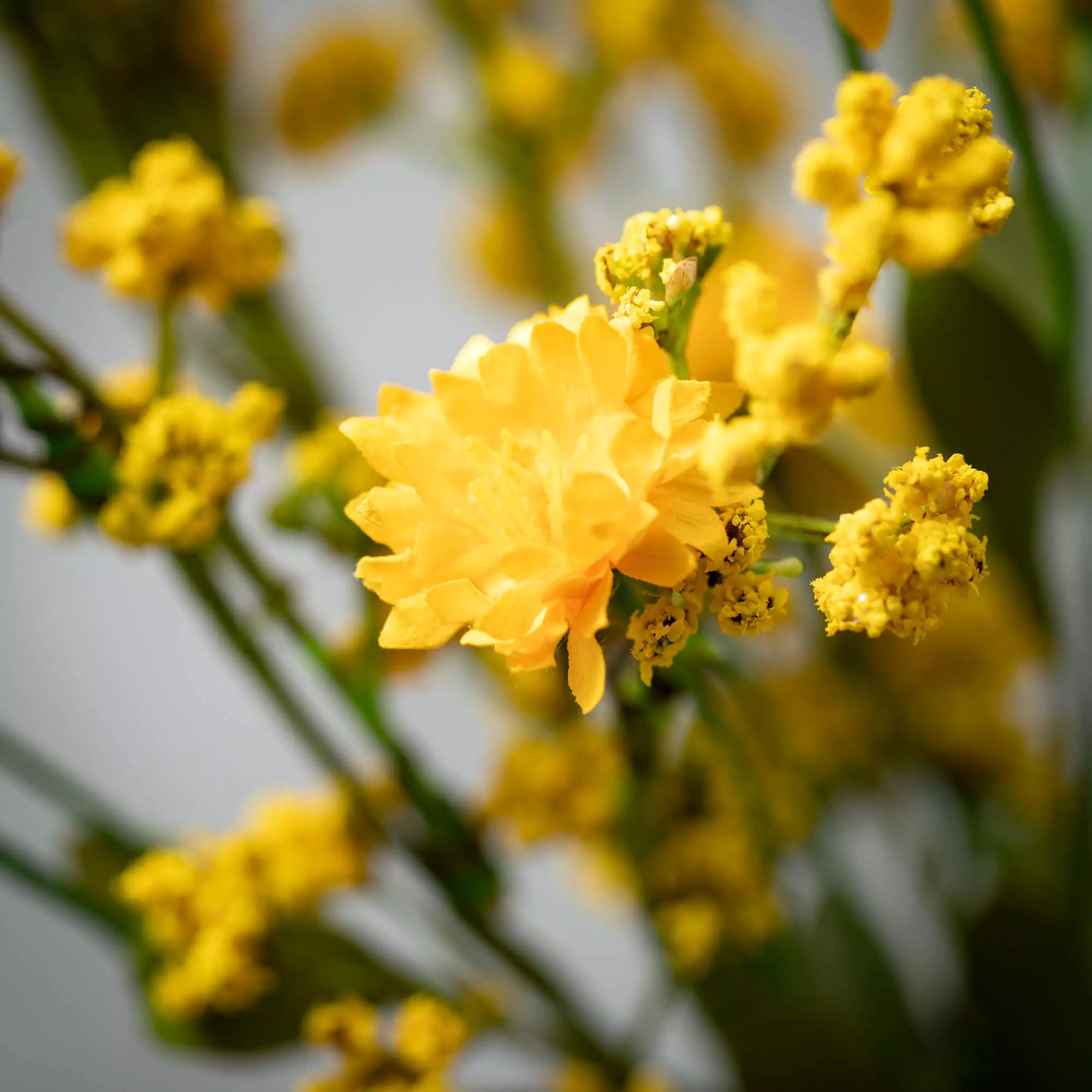 Yellow Wildflower Mini Wreath